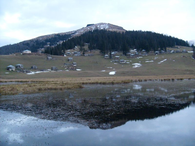 S6301209.jpg