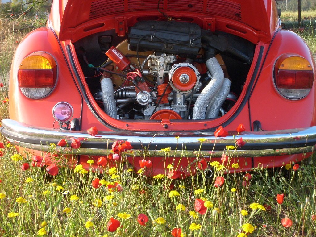 S6301554.JPG
