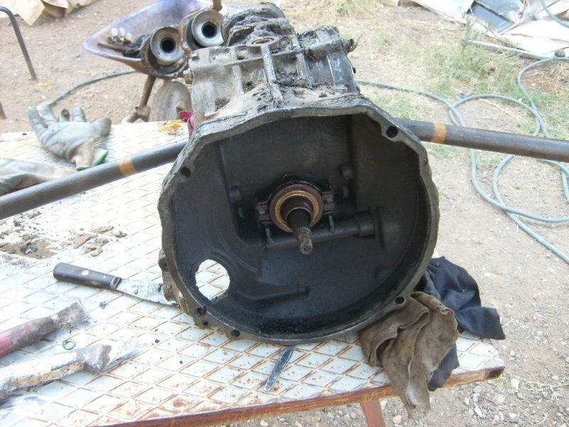 S6302311.jpg