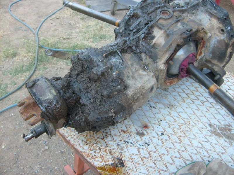 S6302312.jpg