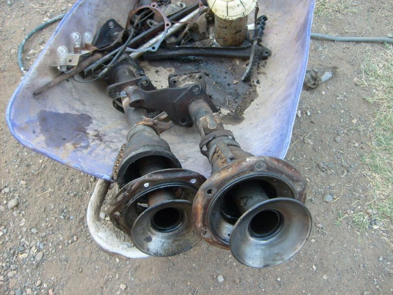 S6302317.jpg