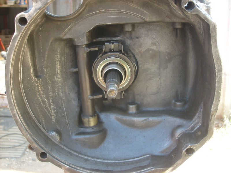 S6302320.jpg