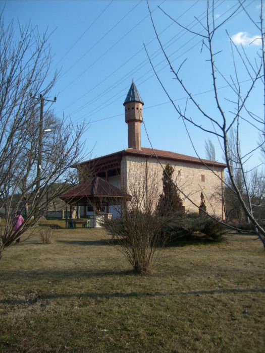 S6302975.jpg