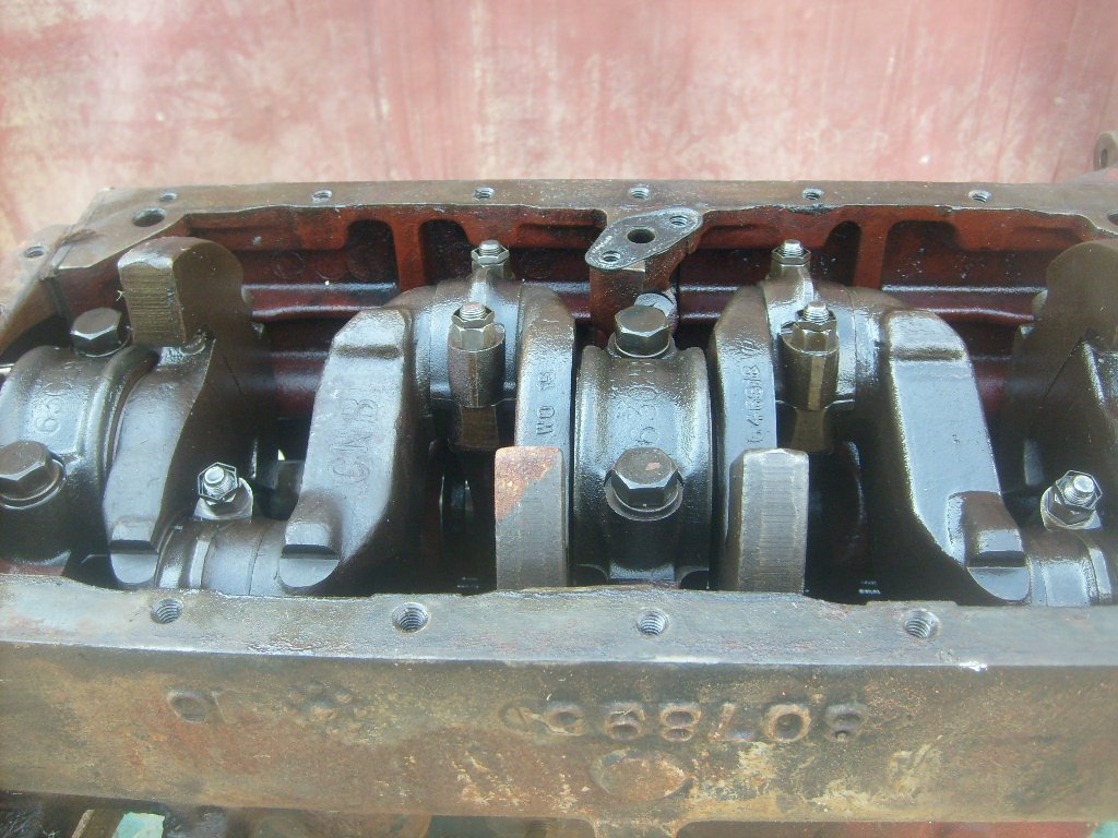S6304646.JPG