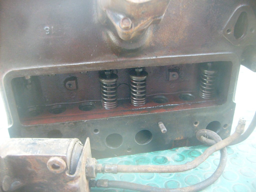 S6304648.JPG