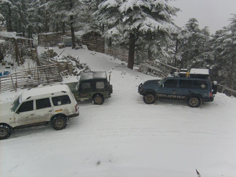 S6304765.jpg