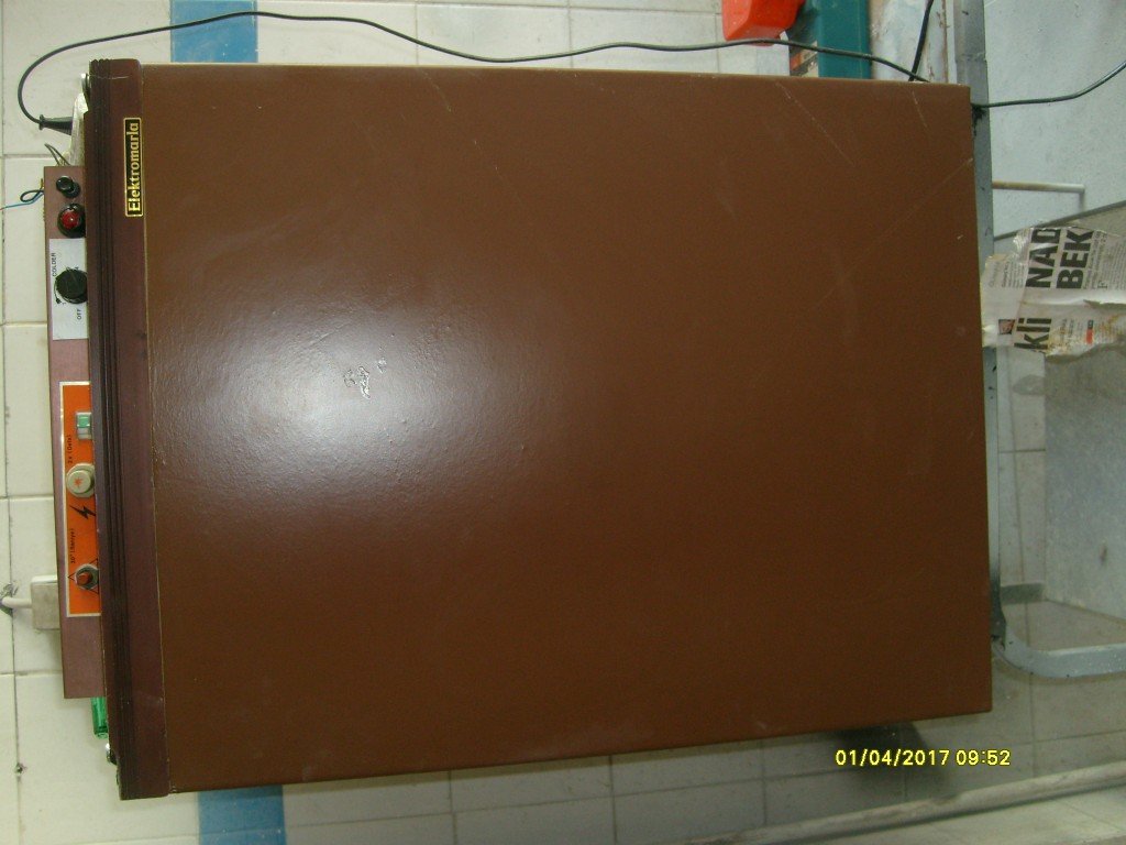 S6304807.jpg