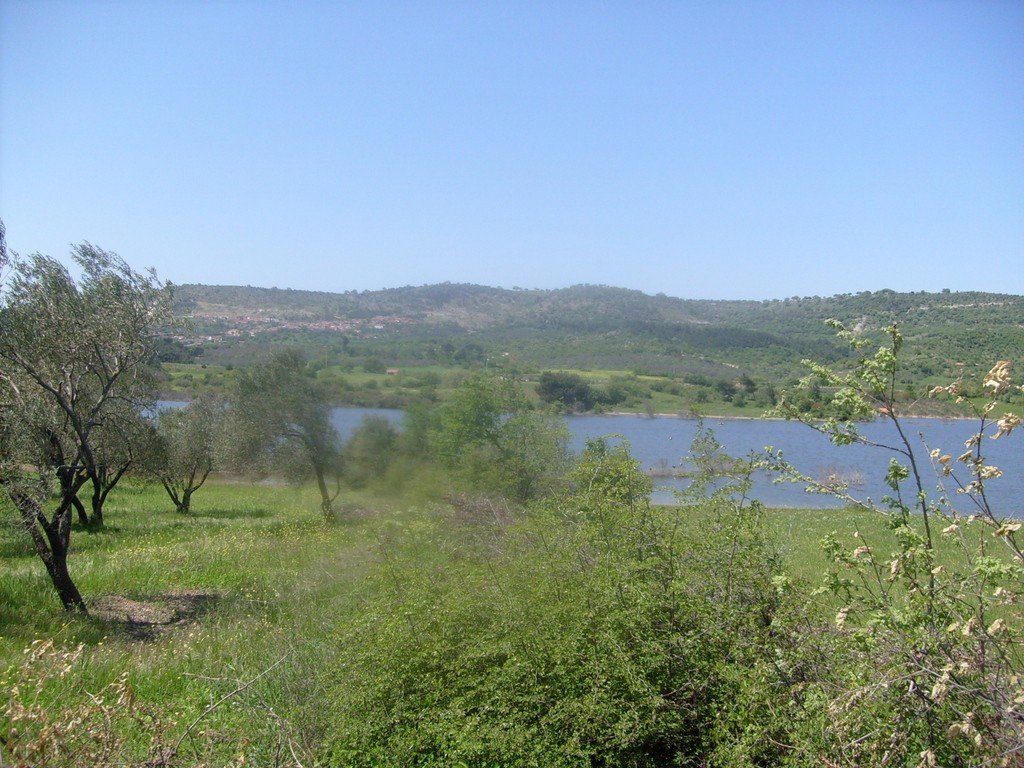 S6304932.jpg