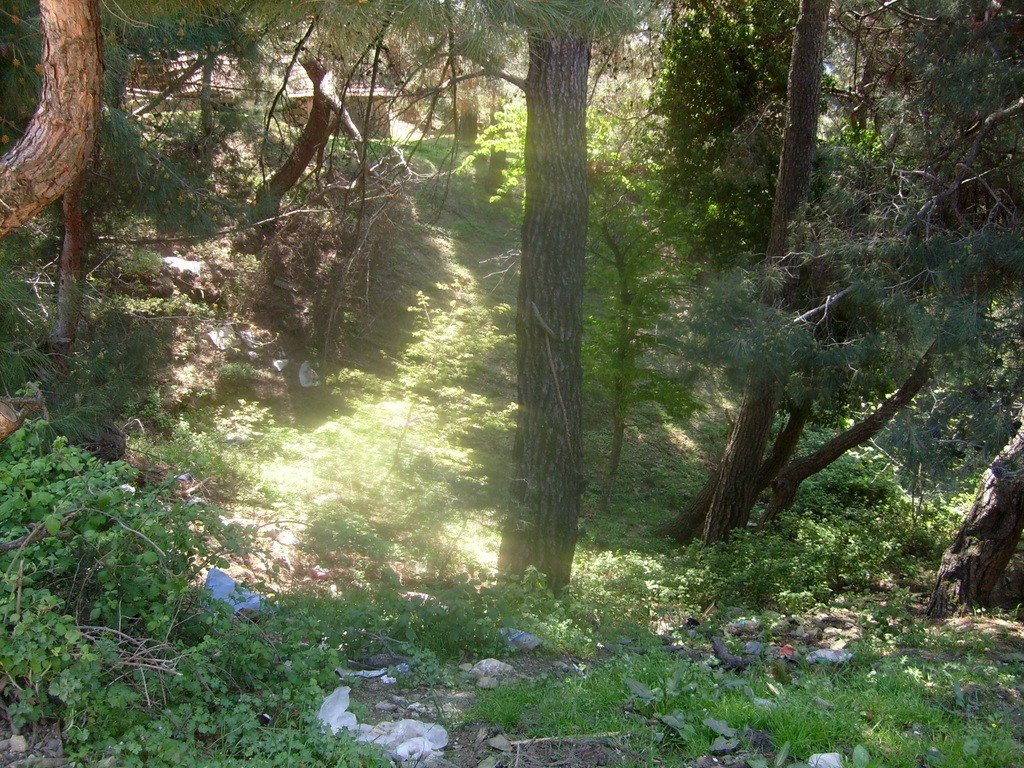 S6304944.jpg