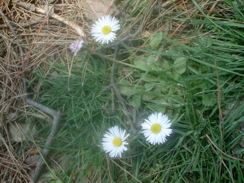 S6304955.jpg