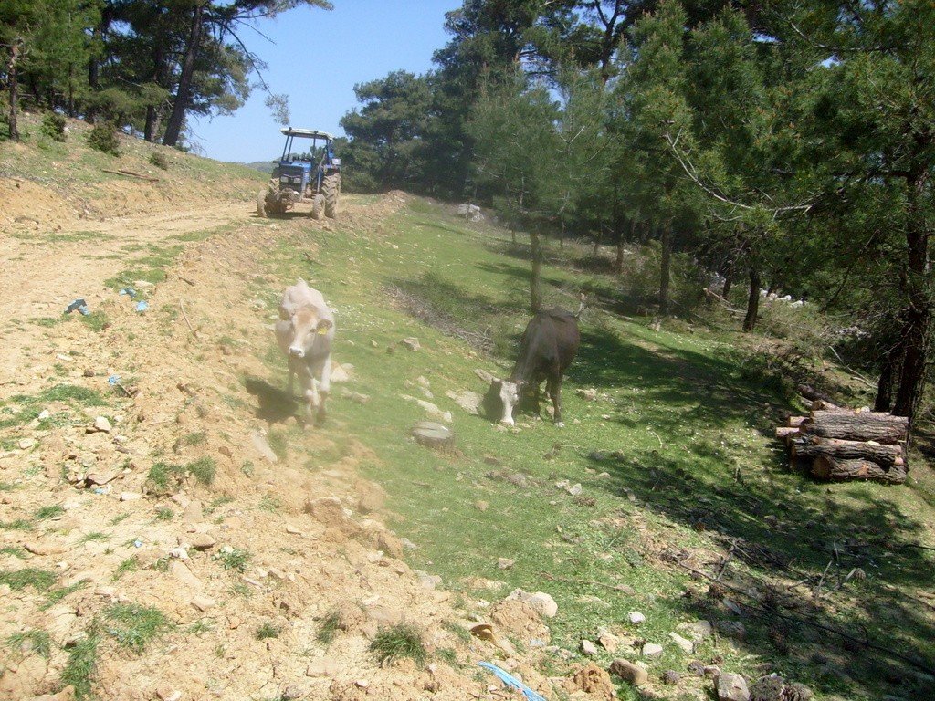 S6304971.jpg
