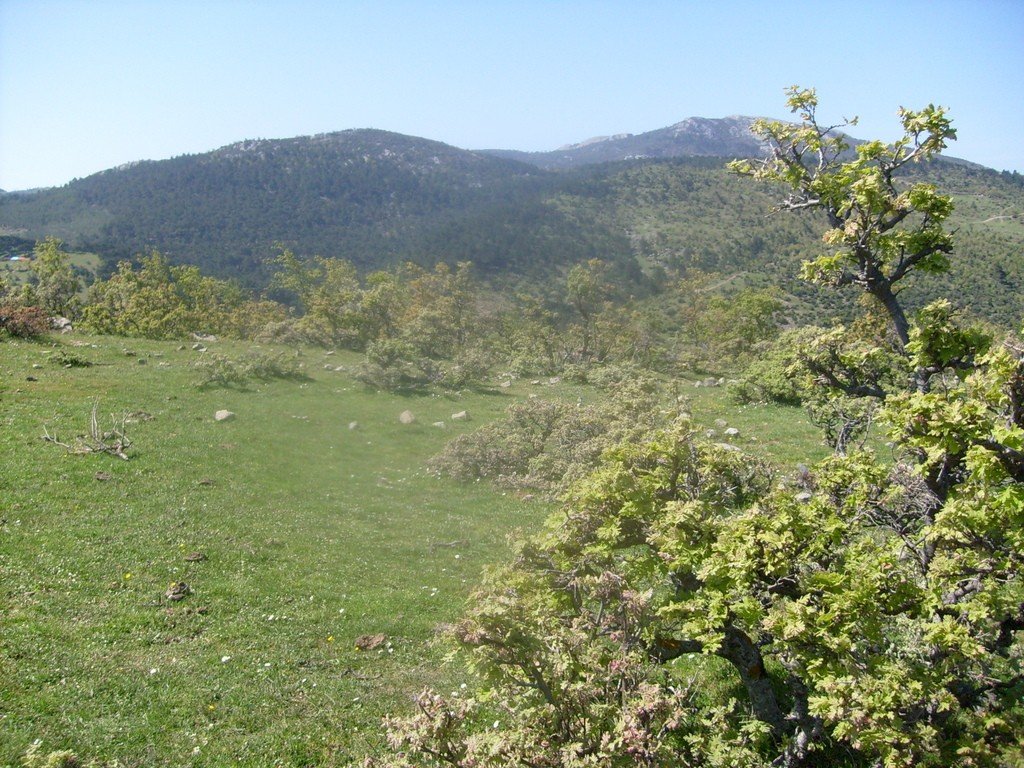 S6304986.jpg