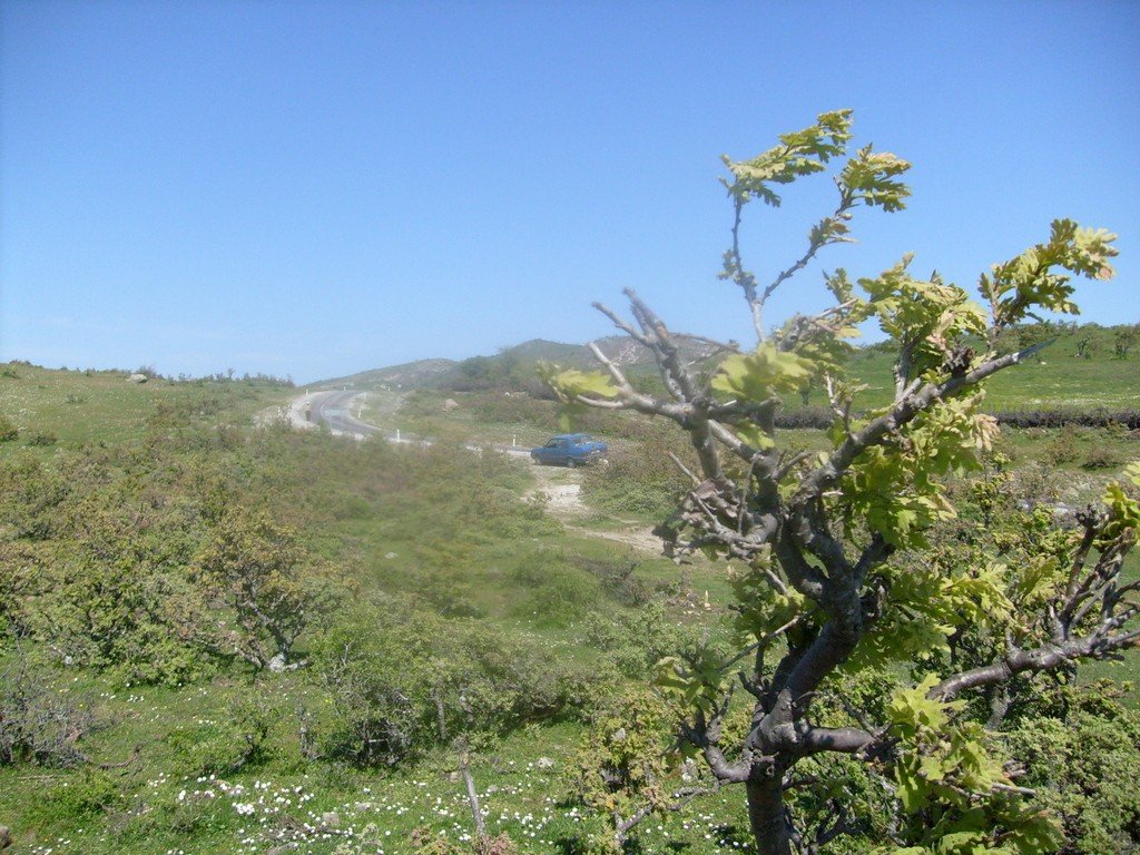 S6304999.jpg