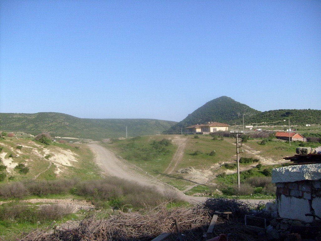 S6305023.jpg