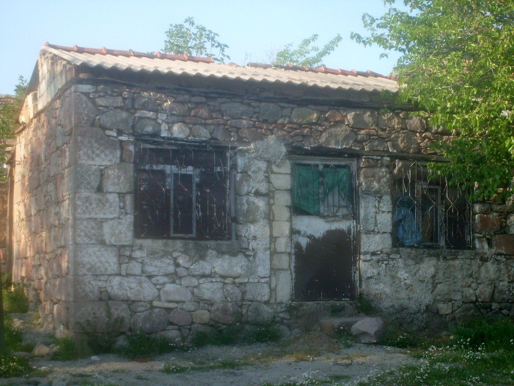 S6305052.jpg