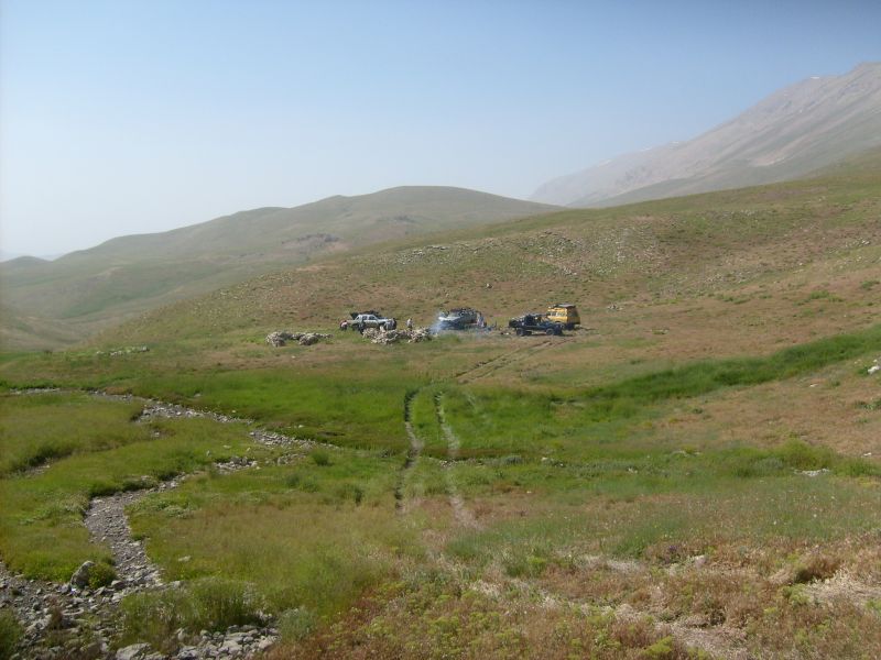 S6305961.jpg
