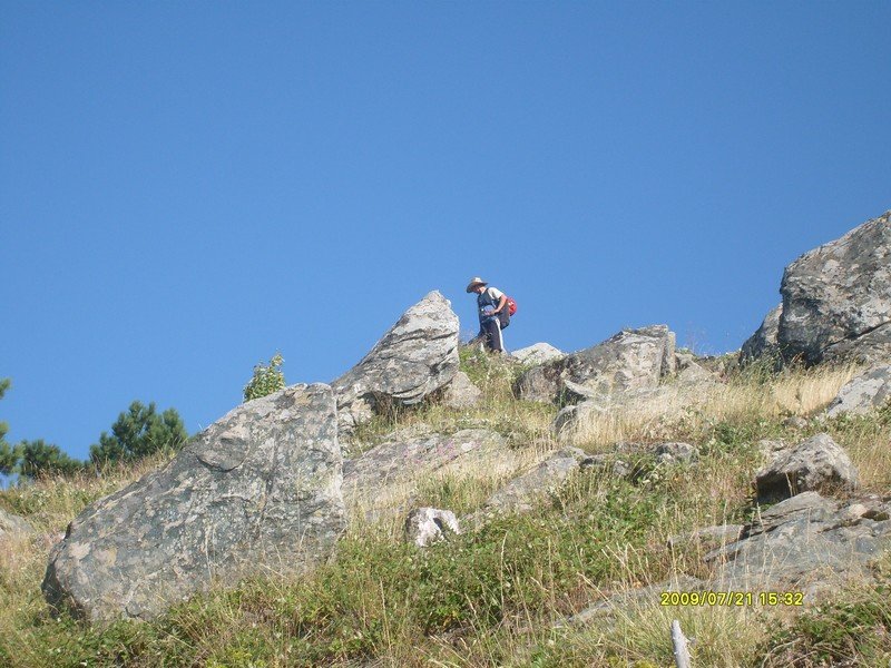 S7300235.jpg