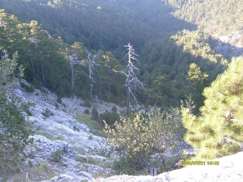 S7300245.jpg