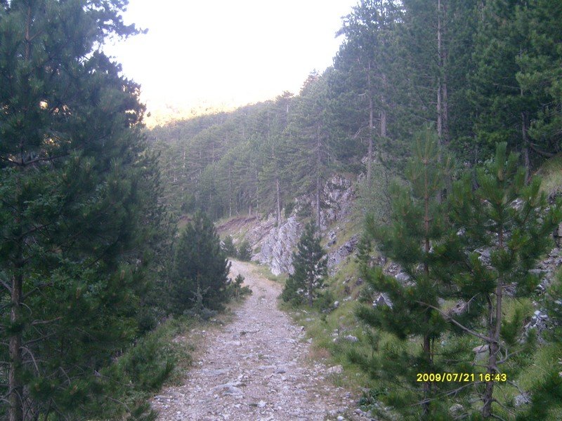 S7300250.jpg