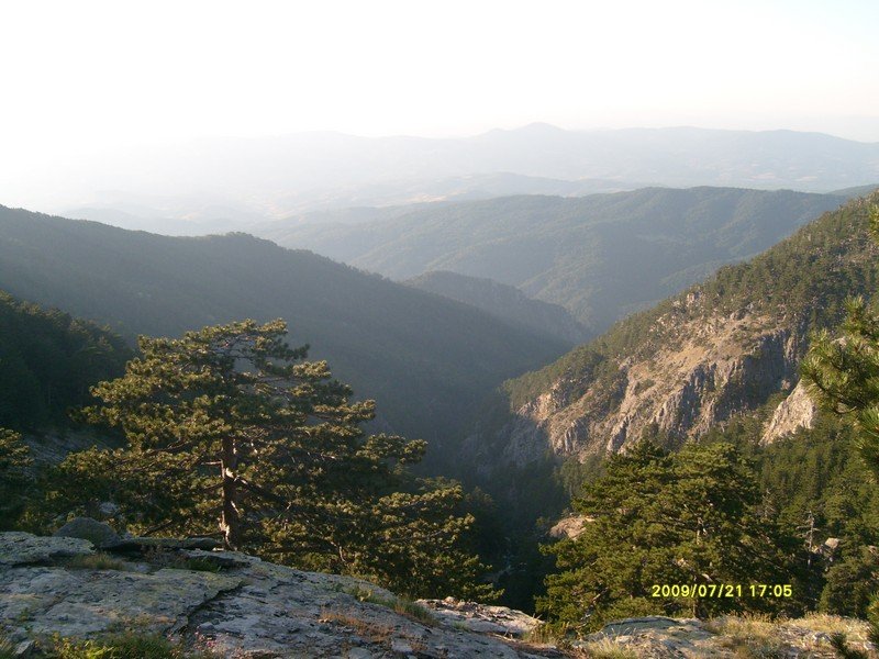 S7300258.jpg
