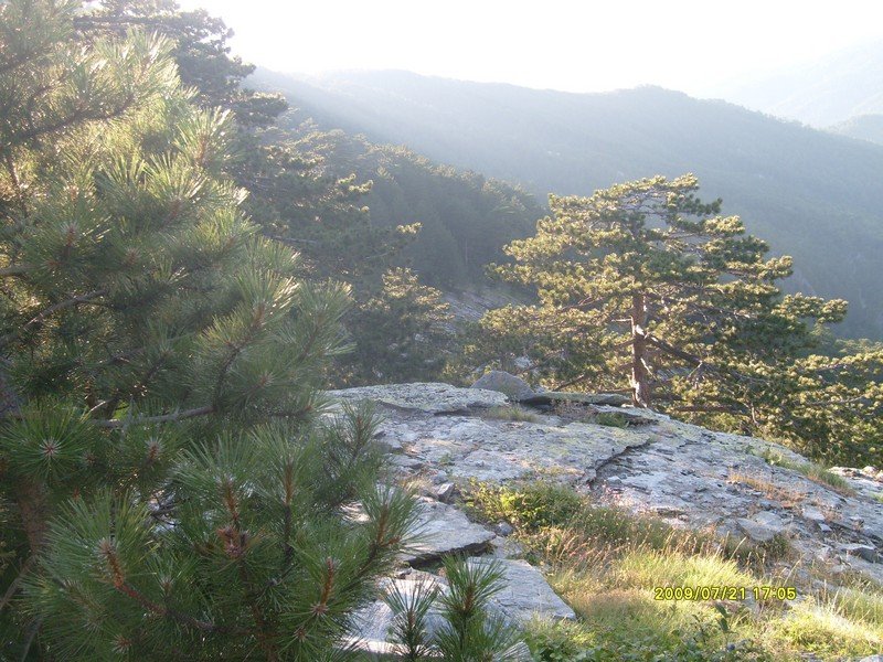 S7300259.jpg