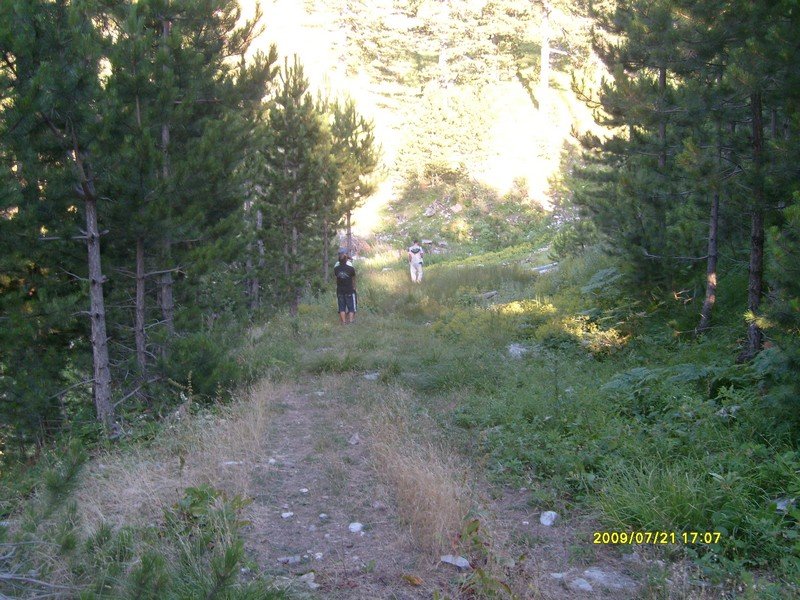 S7300261.jpg