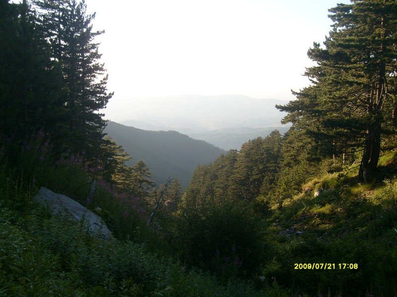 S7300262.jpg