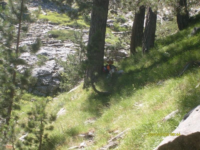 S7300276.jpg