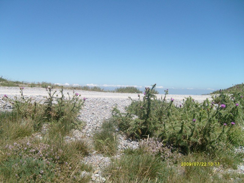 S7300299.jpg