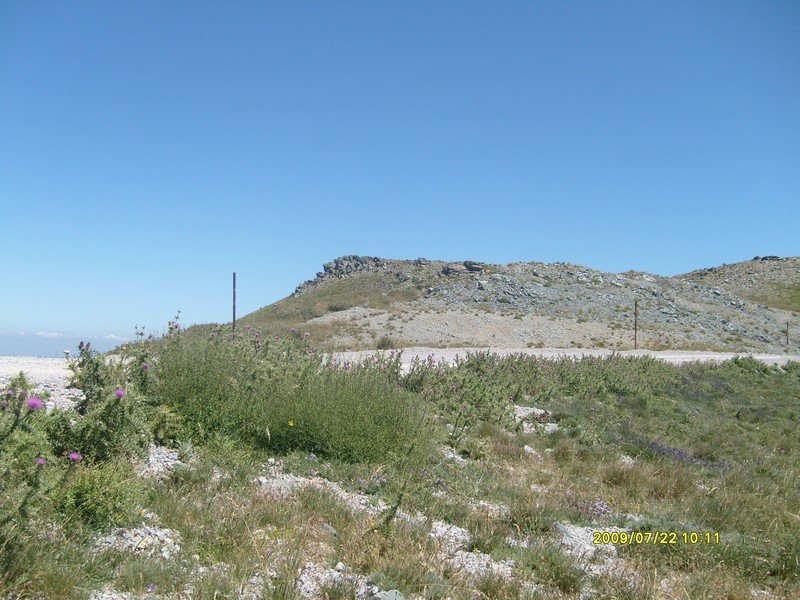 S7300300.jpg