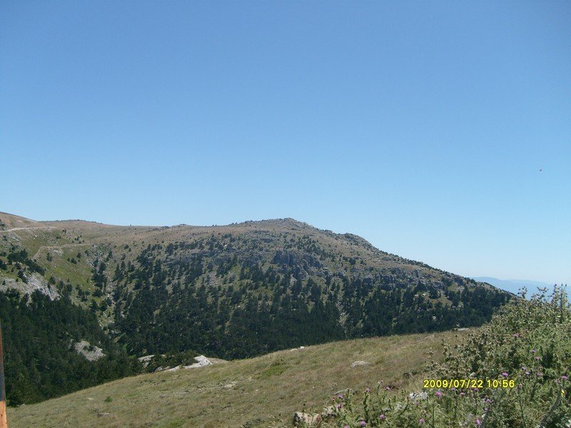 S7300323.jpg