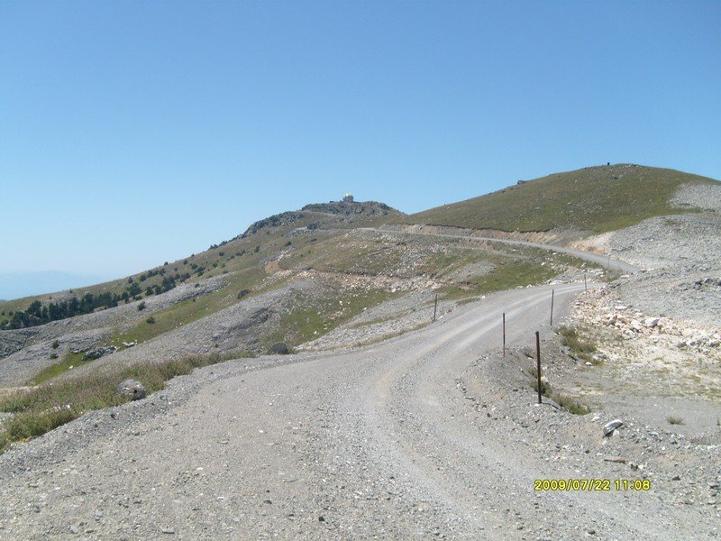 S7300337.jpg