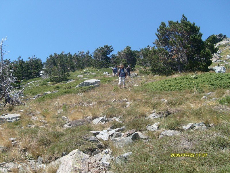S7300347.jpg