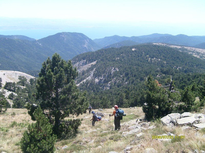 S7300348.jpg