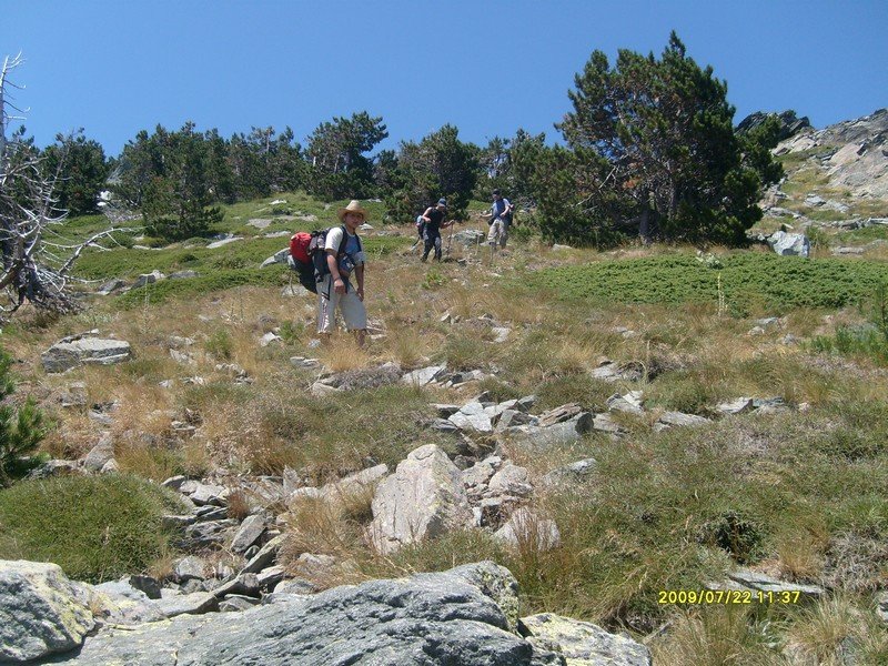 S7300349.jpg