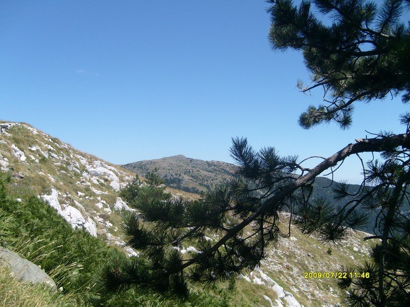 S7300352.jpg