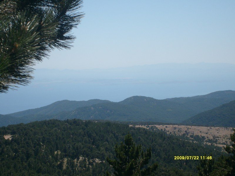 S7300353.jpg