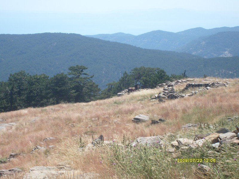 S7300368.jpg