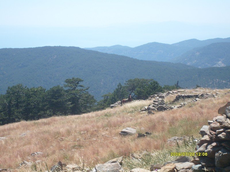 S7300370.jpg