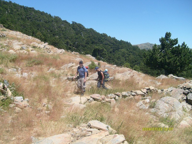 S7300376.jpg