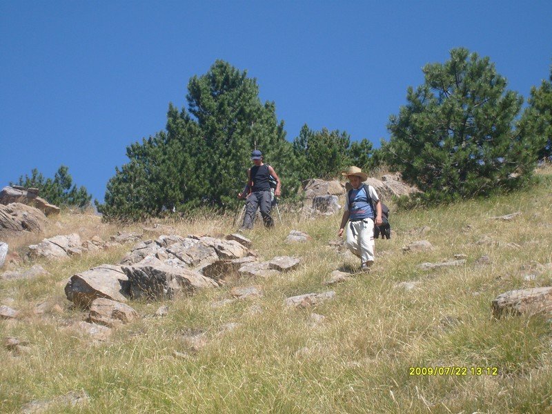 S7300387.jpg