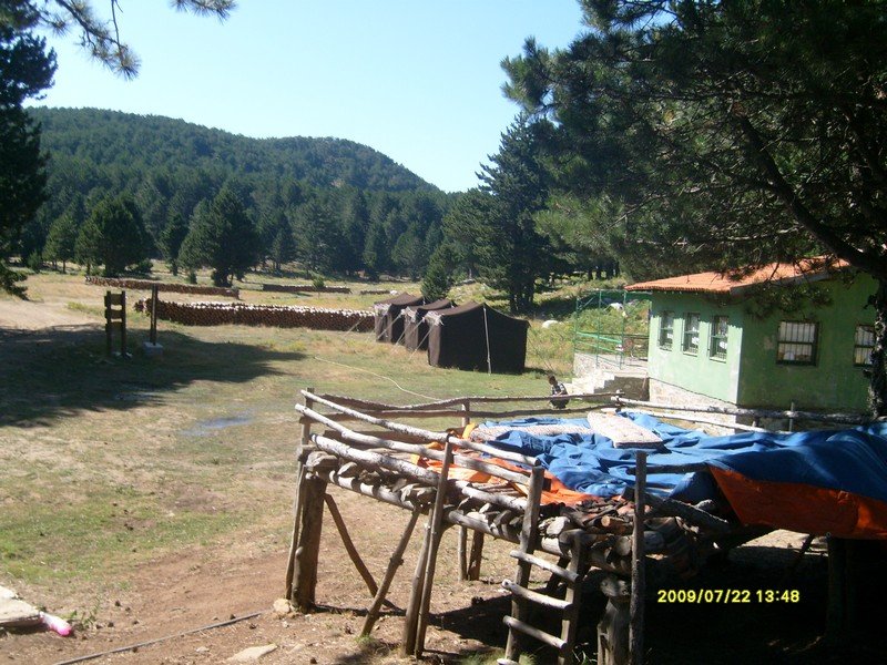 S7300396.jpg