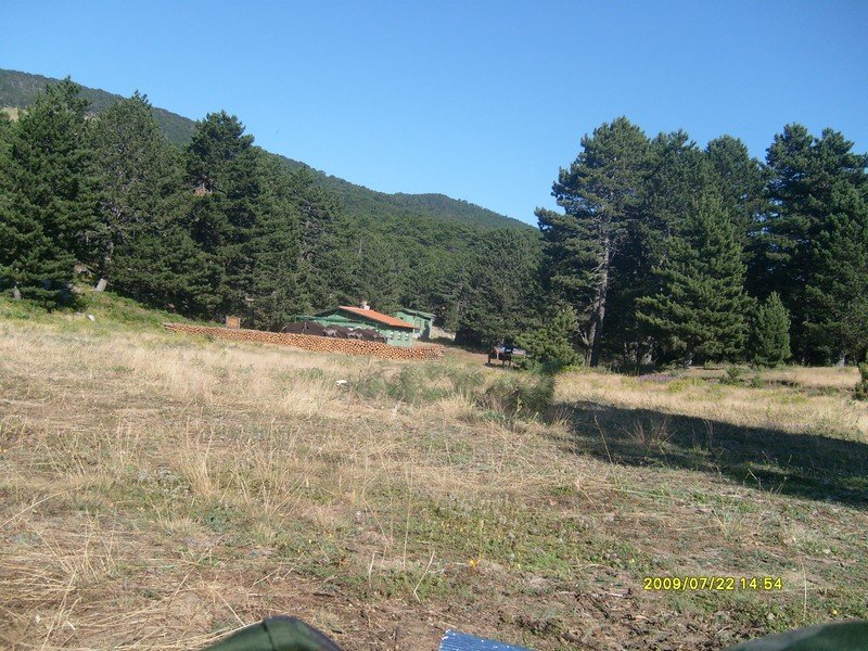 S7300399.jpg