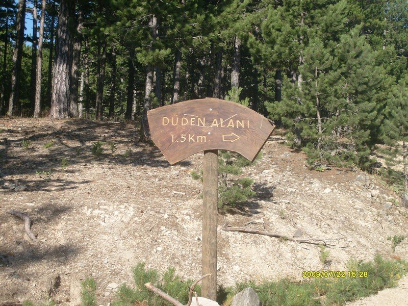 S7300414.jpg
