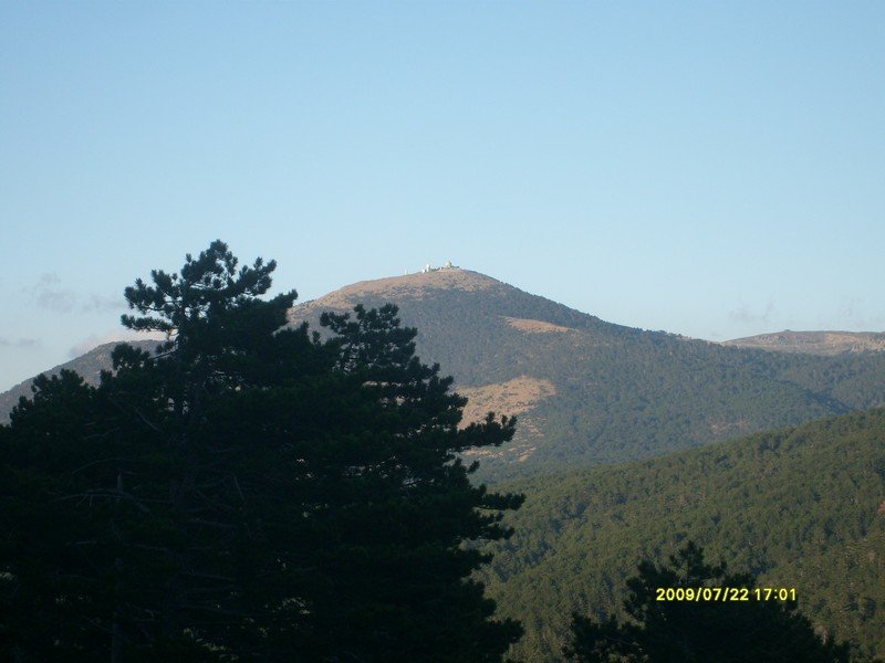 S7300444.jpg