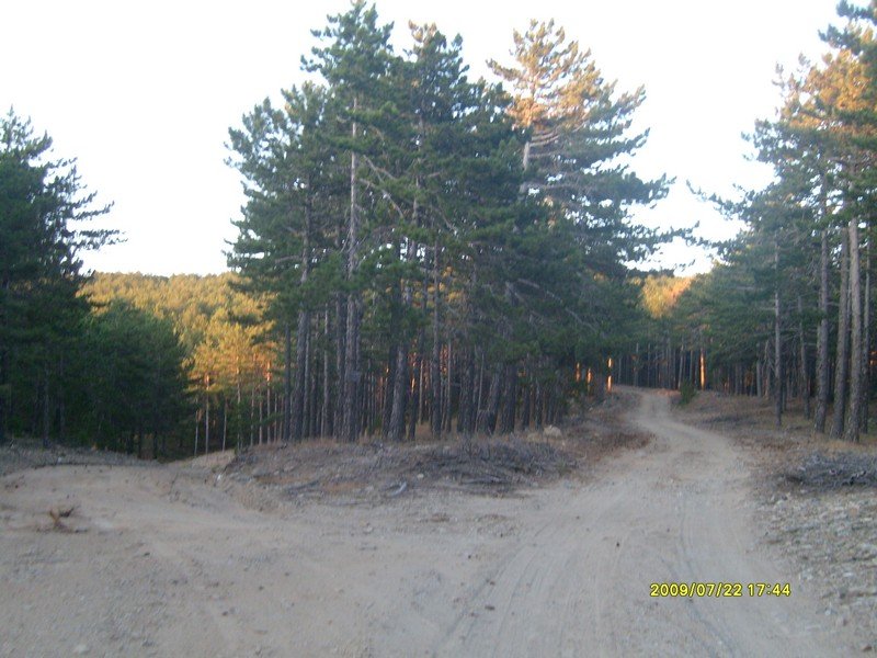 S7300457.jpg