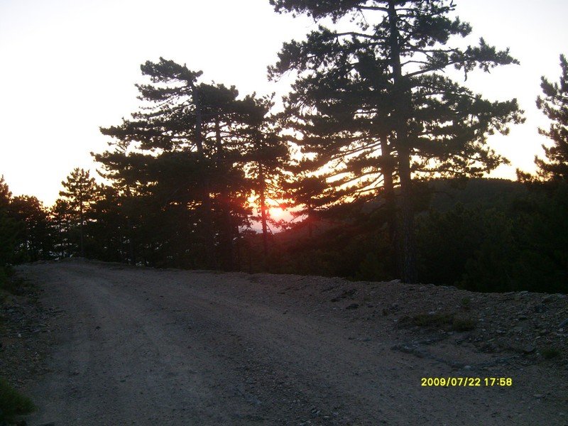 S7300459.jpg