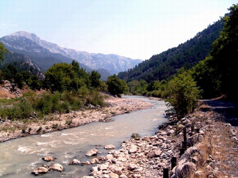 S7301762.jpg