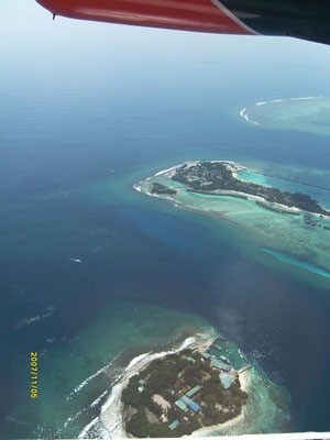 S7301919.jpg