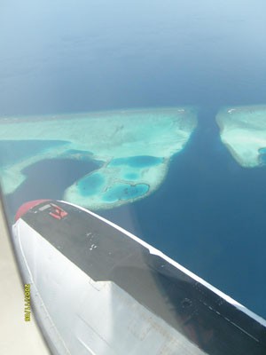 S7301936.jpg